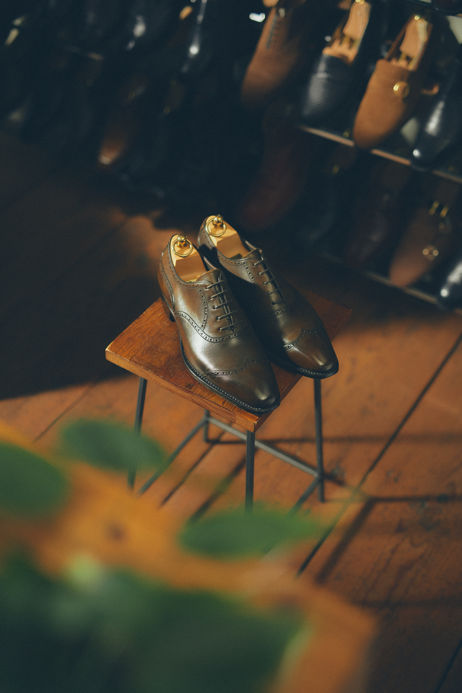 ミロ　【新品未使用】三陽山長 房ニ郎 8.0(26) 極美品☆三陽山長 SIZE 8【☆舞之介/R309ラスト】ホールカット